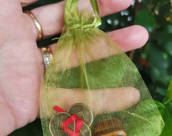 Feng Shui Chinese Coins: Wealth Talisman with Crystal