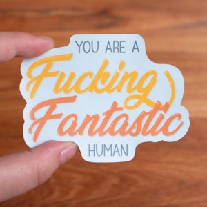 You Are a Fucking Fantastic Human - You Are Fantastic Vinyl Sticker - Small Gift for Friend - Matte or Glossy Sticker