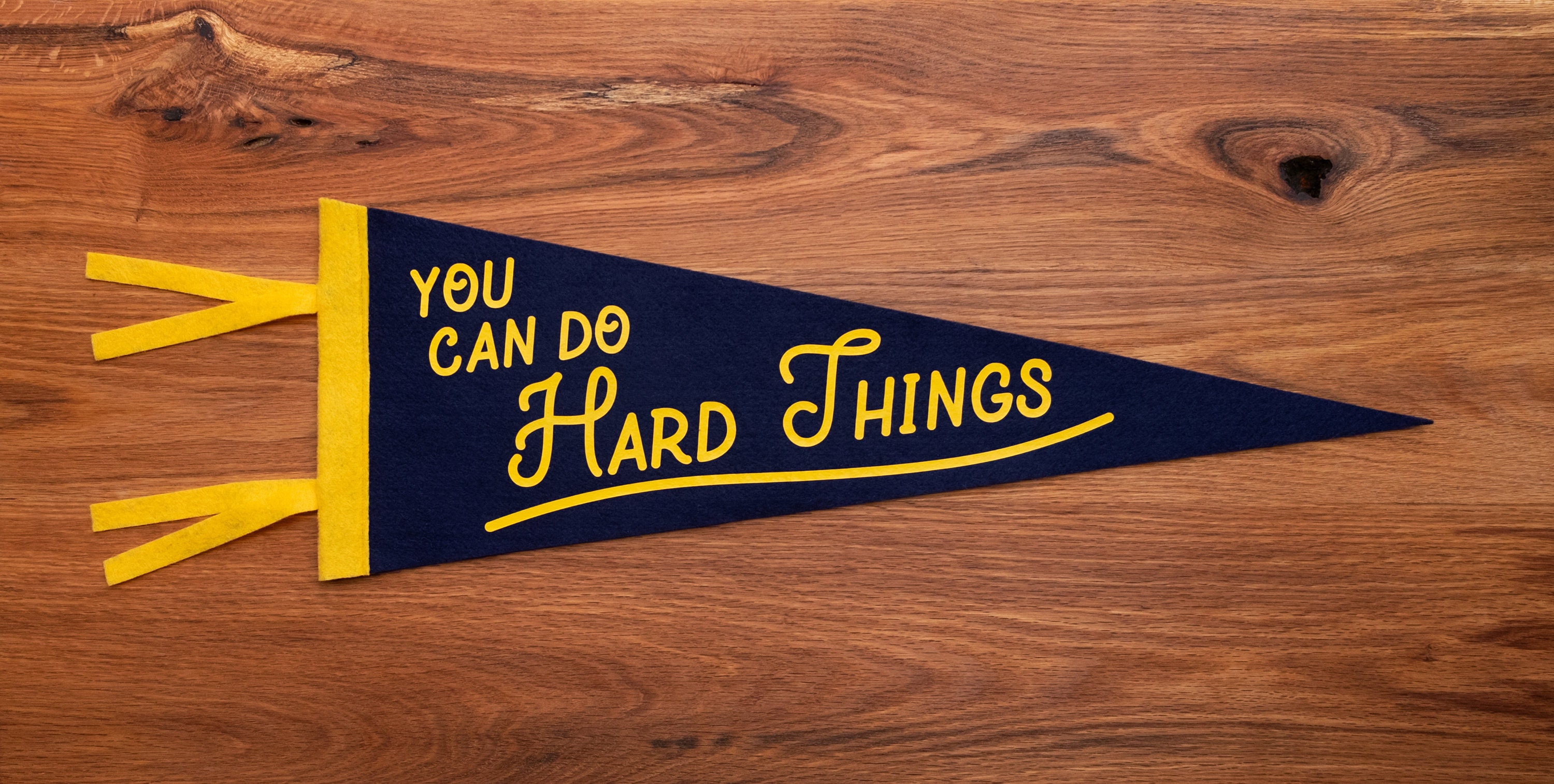 You Can Do Hard Things Pennant Flag - Felt Banner Decor