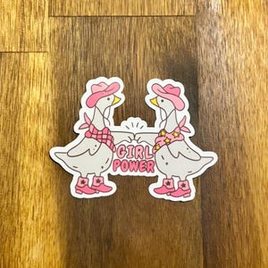 Girl Power Gänse Holographischer Aufkleber | Niedliche rosa Cowgirl-Gänse-Aufkleber für Gänsevogel-Liebhaber | Bezauberndes lustiges Geschenk-Mädchen-Frauen-Feminist