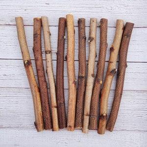10 Small Birch Craft Logs 12" Sticks for Decor Projects Wall Hanging Art Display Raw Wood Carving Woodburner Wedding Free Shipping