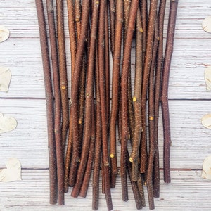 Birch Craft Sticks 25pc Raw Natural Twigs 10"-12" for Crafting Woodworking Fairy Houses Student FREE Shipping