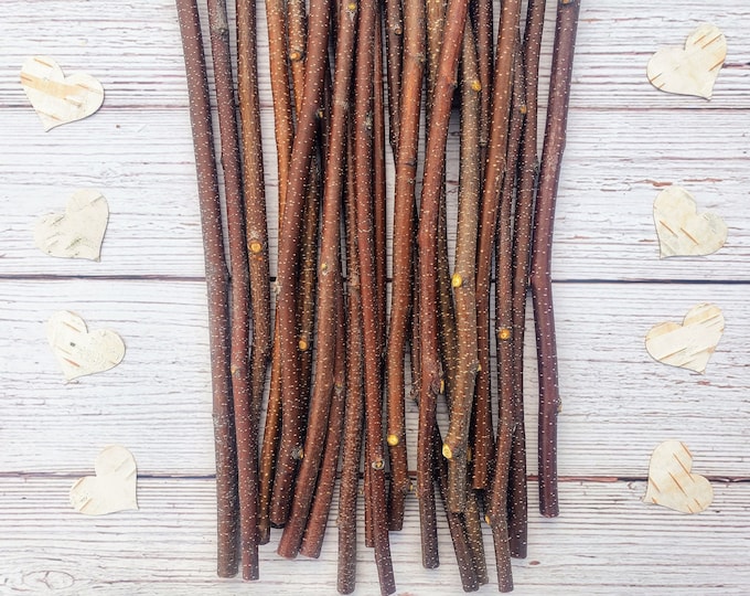 Birch Craft Sticks 25pc Raw Natural Twigs 10"-12" for Crafting Woodworking Fairy Houses Student FREE Shipping