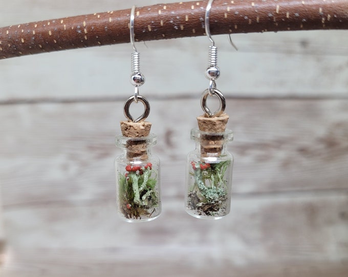 Miniature Terrarium Earrings Live Moss and British Soldier Lichen Living Jewelry Hook or Post Fun Gift Unique Free Shipping