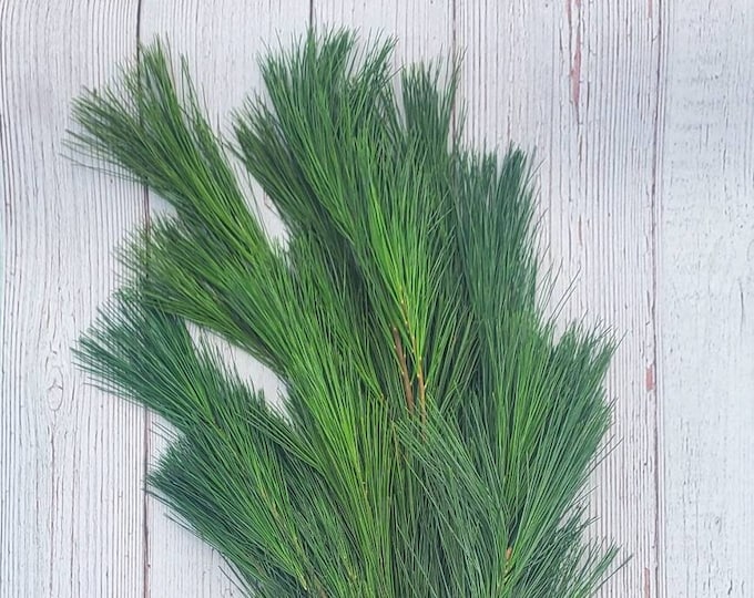 Pine Boughs Fresh Cut Tips 12pc 1' to 2' ft Evergreen Floral Crafts Wedding Greenery Fragrant Decorative Branches Decor Free Shipping