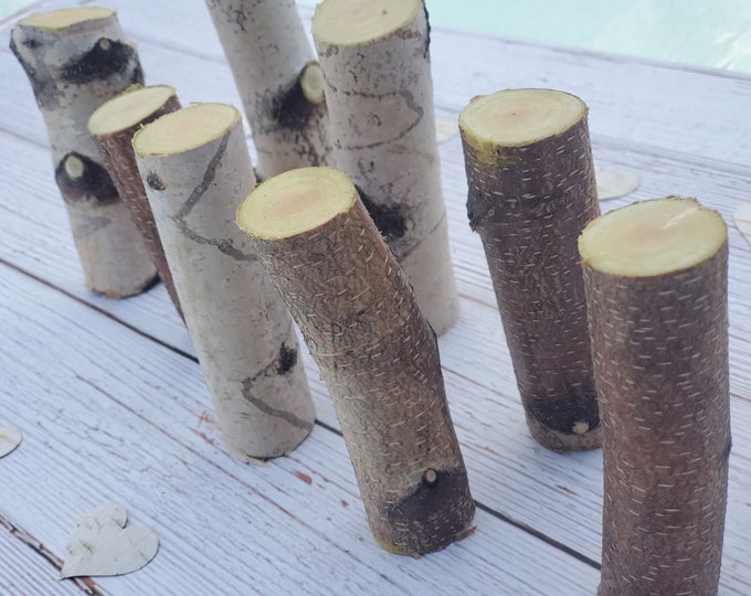Hand Cut Birch Log Segments 3"-4", pack of 10 for Crafts Woodworking Candleholder Place Setting Fill a Space Free Shipping