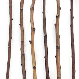 5 ft. Long Hand Cut Birch Poles, Pack of 2, for Woodworking, Macramé, Home Decor, Curtain Rod, Walking Stick, Craft Projects FREE Shipping
