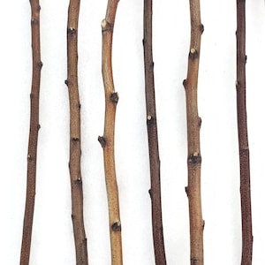 4 ft. Long Hand Cut Birch Poles, Pack of 4, for Woodworking, Macramé, Home Decor, Craft Projects