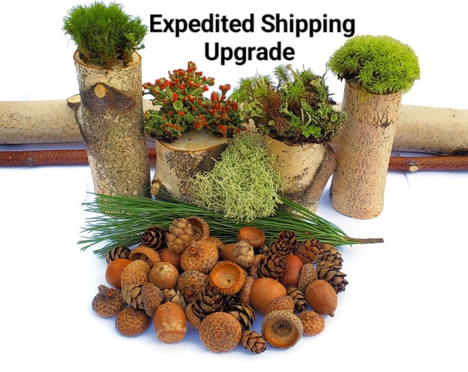 Expedited Shipping Upgrade