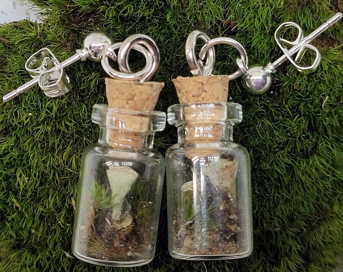 Miniature Terrarium Earrings Live Moss and Pixie Cup Lichen Living Jewelry Hook or Post Gift Unique Free Shipping