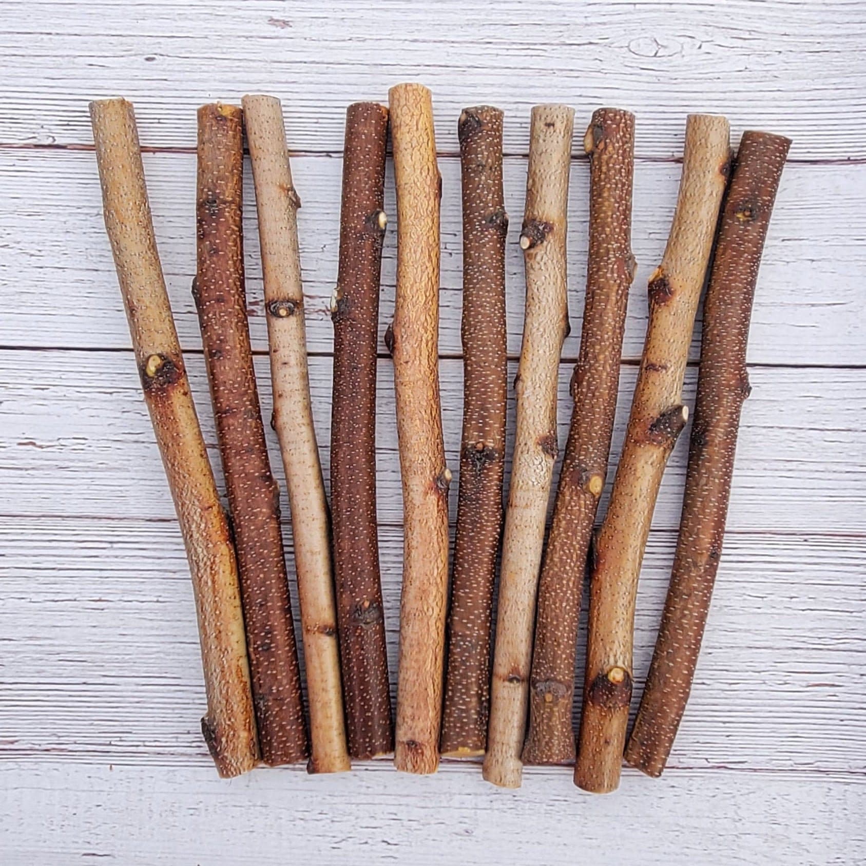 Thick Wood Sticks 12 In, Wooden Branches 6 Ct, Maple Wooden Sticks,  Bradford Sticks, Craft Branches, Rustic Sticks, Wood Sticks for Wands 