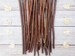 Birch Craft Sticks 25pc Raw Natural Twigs 10'-12' for Crafting Woodworking Fairy Houses Student FREE Shipping 