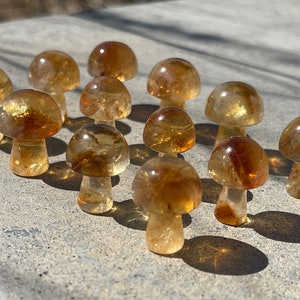 Citrine Mini-Mushrooms with Rainbows | Yellow Crystals Mushies | Crystal Mushrooms