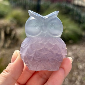 Pastel Fluorite Owl Crystal Carvings