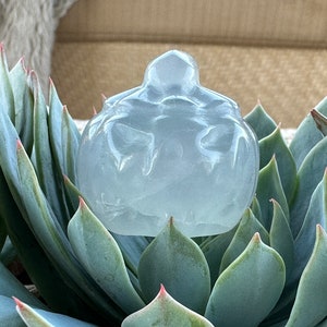 May include: A clear, translucent, white crystal sculpture of a Buddha sitting in meditation. The sculpture is sitting on a bed of green succulent plants.