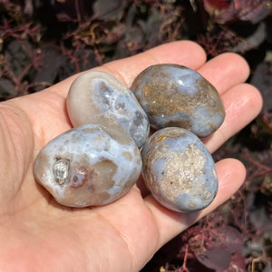 Blue Flower Agate Tumbles | Blue Agate Polished Crystal Tumbles | Flower Agate Tumbles