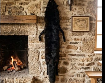 Genuine Black Fox Gür Pelt Full Skin Natural Undamaged Real Fur Rustic Home Devir Taxidermy Not Mounted