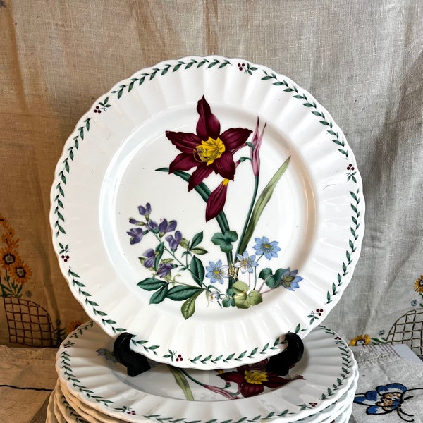 Mikasa Maxima “ Summer Symphony” Pattern Dinner Plates~10.5”~8 Plates Available~Sold Separately