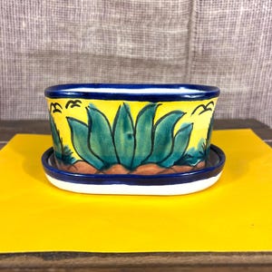 Beautiful Terra Cotta Hand Painted Cactus Design Planter and Under Plate~Made in Mexico