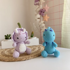 PDF pattern 2in1| Easy Crochet Amigurumi Pattern CROCHET PATTERN in English