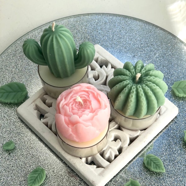 Cactus Candle Etsy