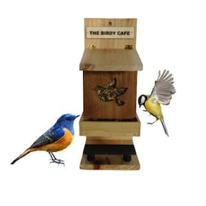 Bird Feeder wild bird Feeder, Tree Mount Bird Feeder cedar bird fedder