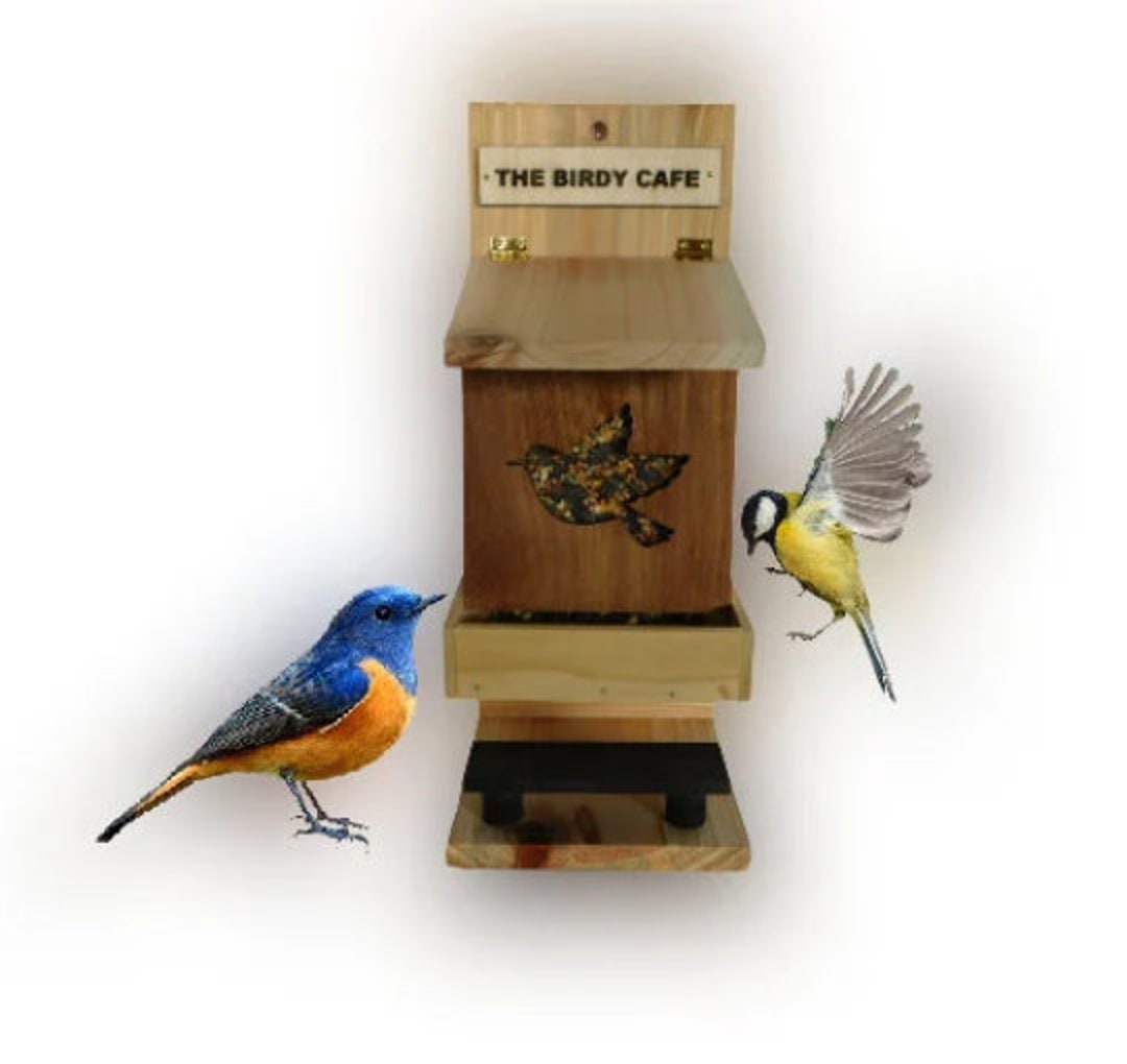 Bird Feeder With See Thru Plexiglass Bird Shaped Window / Has Etsy