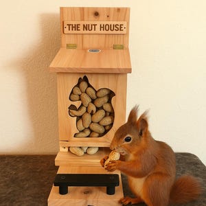 Squirrel Feeder Chipmunk Feeder Tree Squirrel feeder