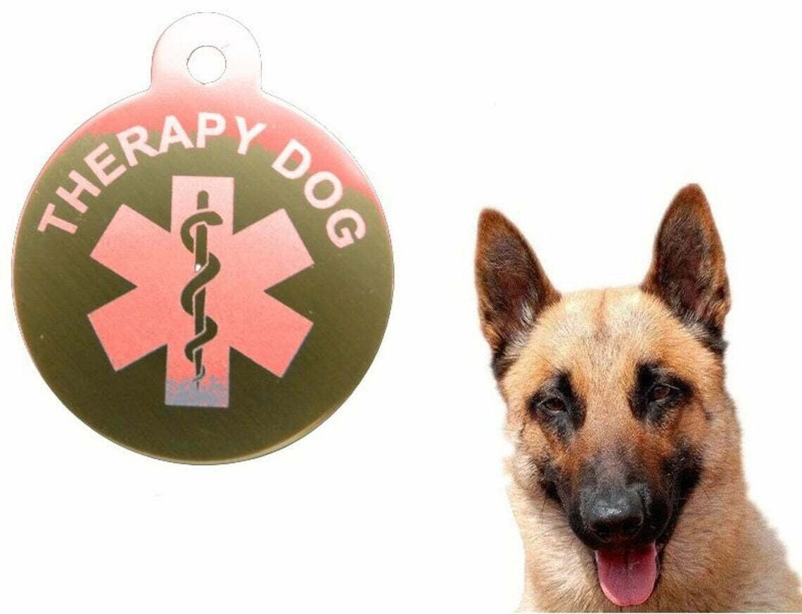 Printable Service Dog Id Card