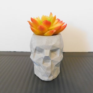 Skull Flower Pot /skull Lover Gift / Angle Décor / Unpainted cement skull Planter