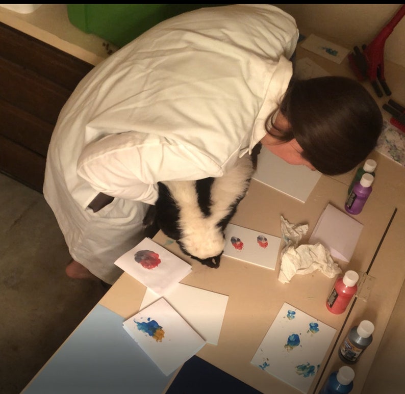 Animal Art Paintings  Porcupine & Skunk Paw Prints image 6