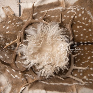 Newborn Digital Woodland Background