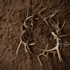 Newborn Digital Woodland Background
