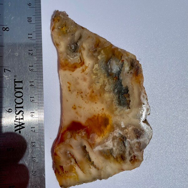 Graveyard Point Plume Agate with Pyrite Inclusions Slab (115mmX70mmX6mm)