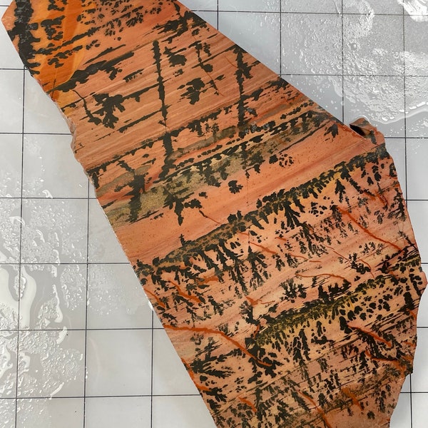 Indian Paint Stone slab, Death Valley Paint, Navajo Blanket (225mmX105mmX10mm)