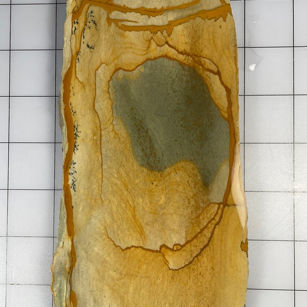 Owyhee picture jasper slab