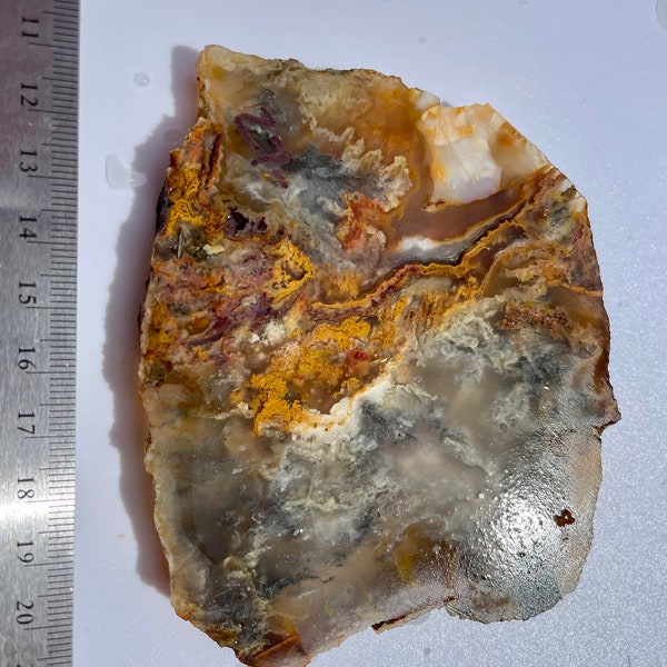 Graveyard Point Plume Agate with Pyrite Inclusions Slab (110mmX95mmX9mm)