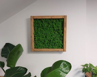 May include: A square wooden frame with a green moss wall art inside. The frame is mounted on a white wall.