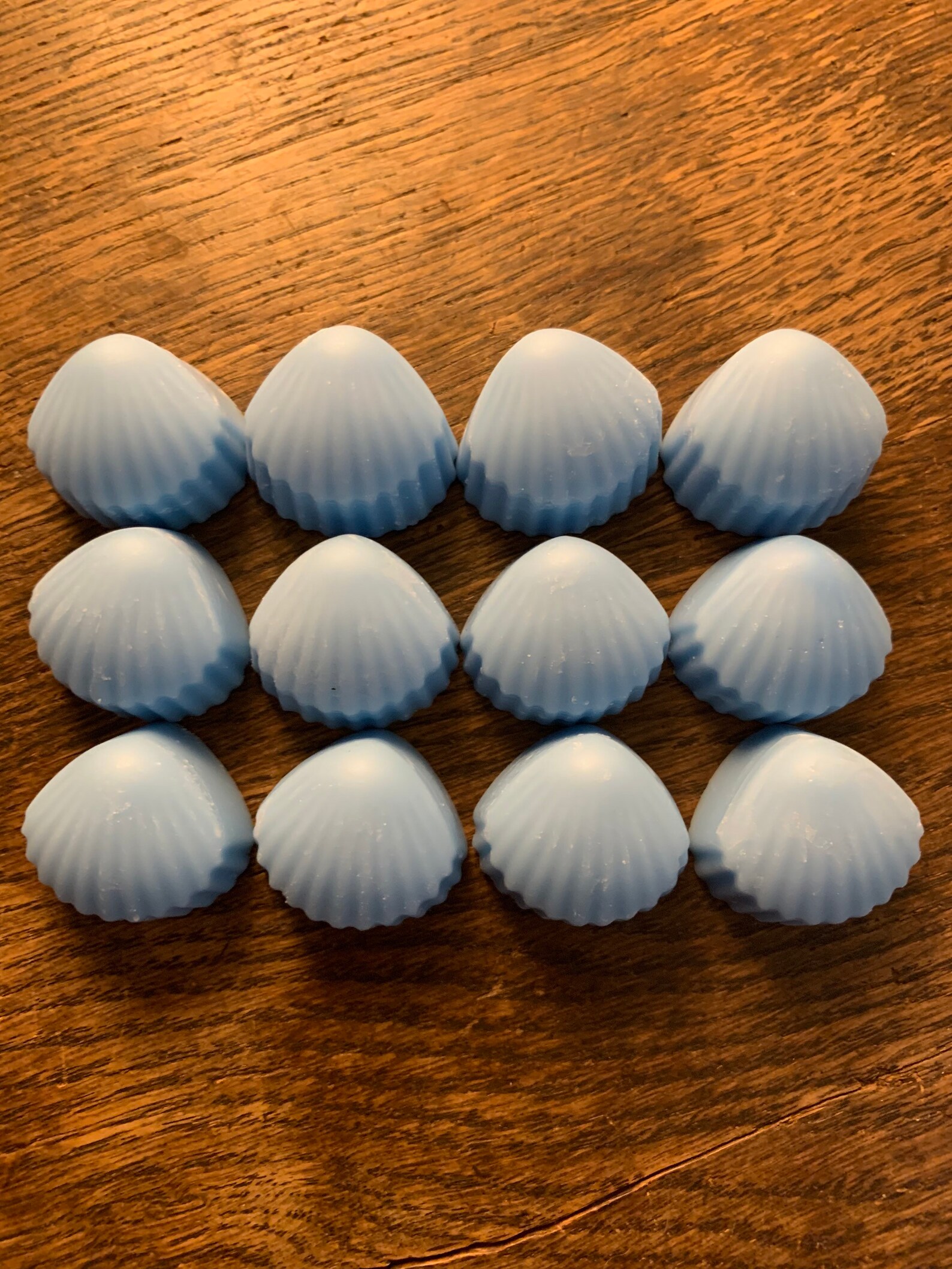 Powerfully Scented Sea Shell Wax Melts High Tide Fragrance Etsy