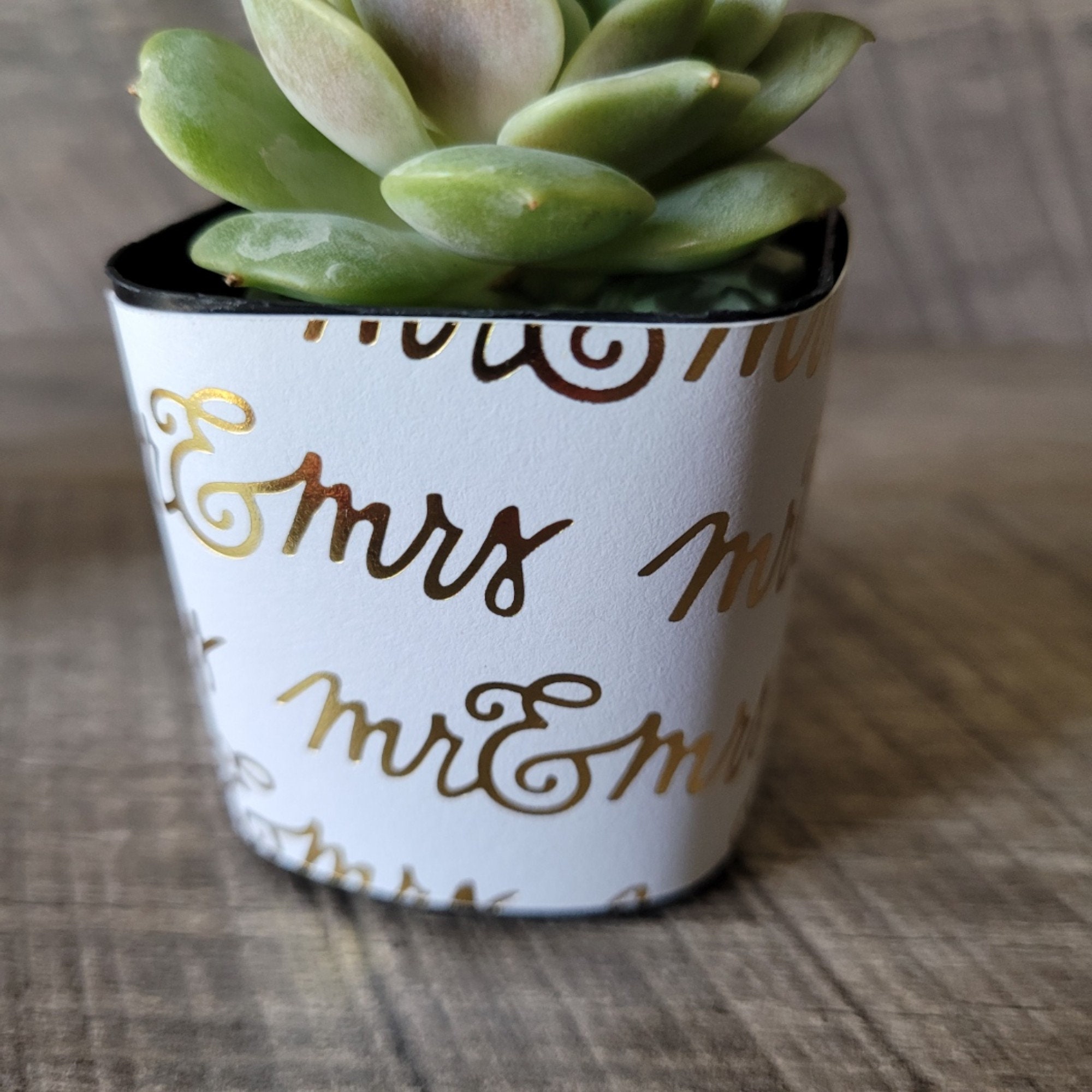 Succulent and Flower Pot Wrappers /2x2 Square Pot Etsy