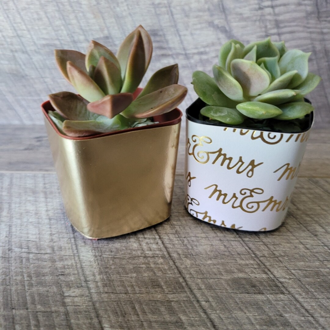 Succulent and Flower Pot Wrappers /2x2 Square Pot Etsy