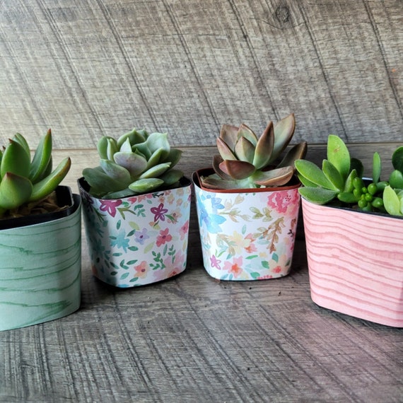 Succulent and Flower Pot Wrappers /2x2 Square Pot Etsy UK