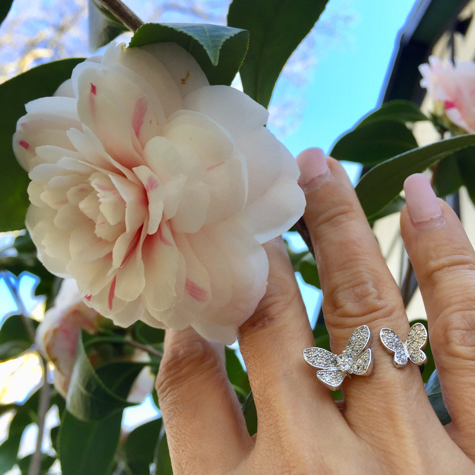 Double Butterfly Ring Butterfly CZ Ring Multi Crystal Stone Etsy