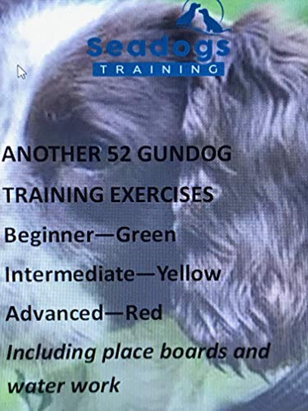 Another 52 Gundog Training Exercises Etsy