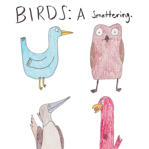 Birds: A Smattering - Búho, piquero de patas azules, pájaro azul y pájaro rojo - ¡Pegatinas de vinilo dibujadas a mano o impresiones artísticas de garabatos de calidad superior!