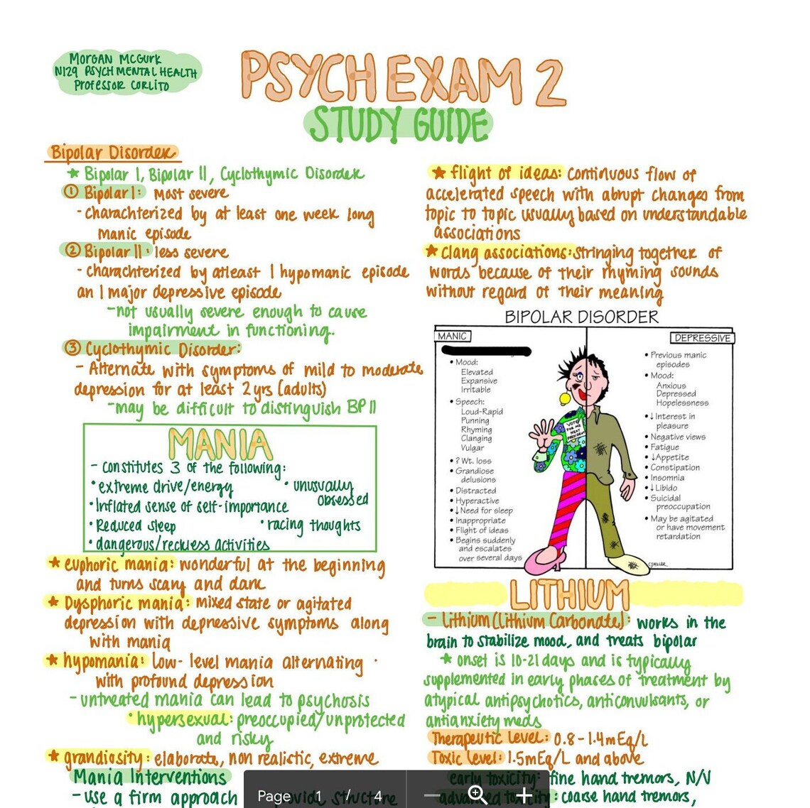 N129 Psychiatric/ Mental Health Exam 2 Study Guide - Etsy