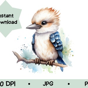 Kookaburra Print PRINTABLE Wall Art Kookaburra Art Print Kookaburra Drawing Of Kookaburra Illustration of Kookaburra Watercolour Kookaburra