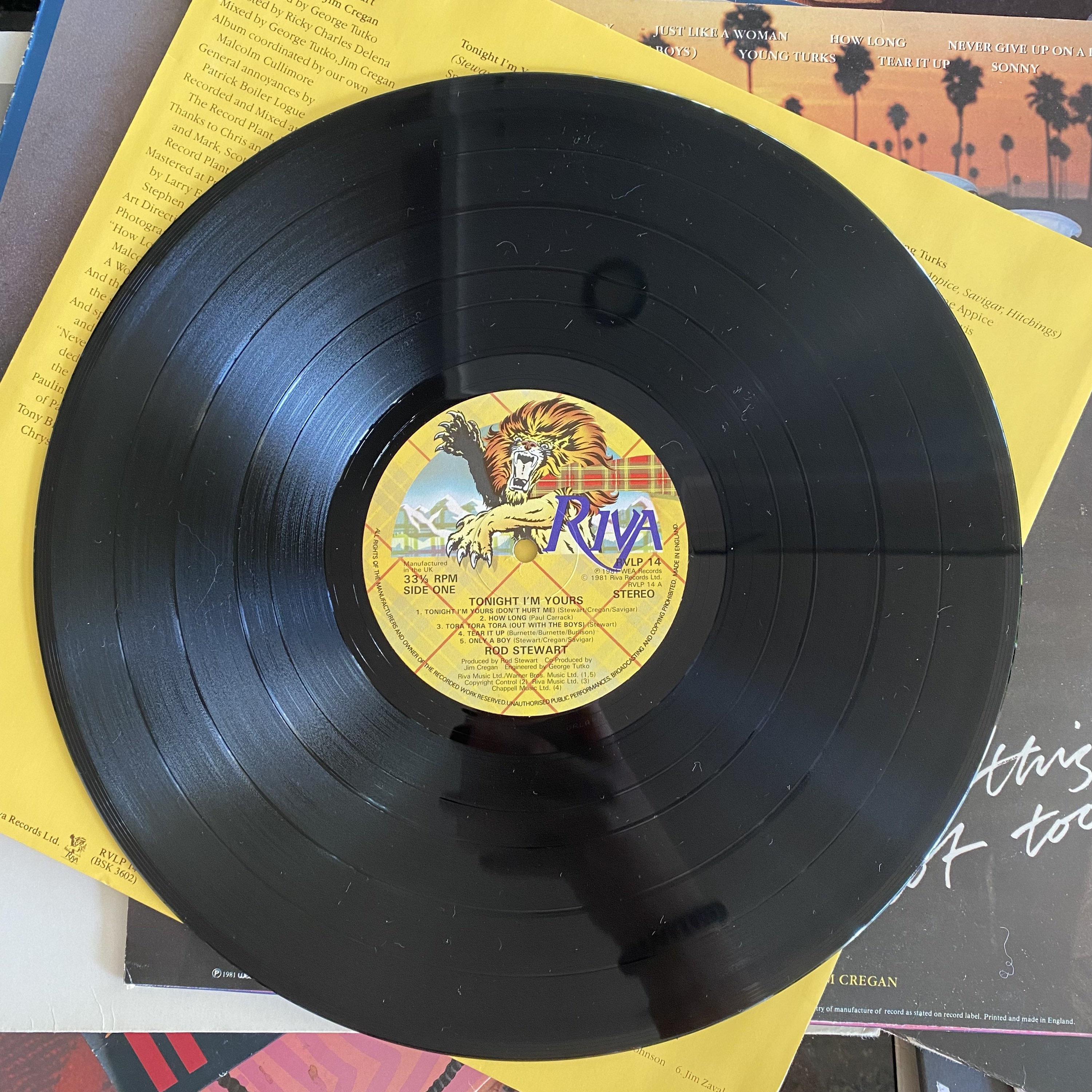 Rod Stewart, Tonight I'm Yours / Vinyl - Etsy