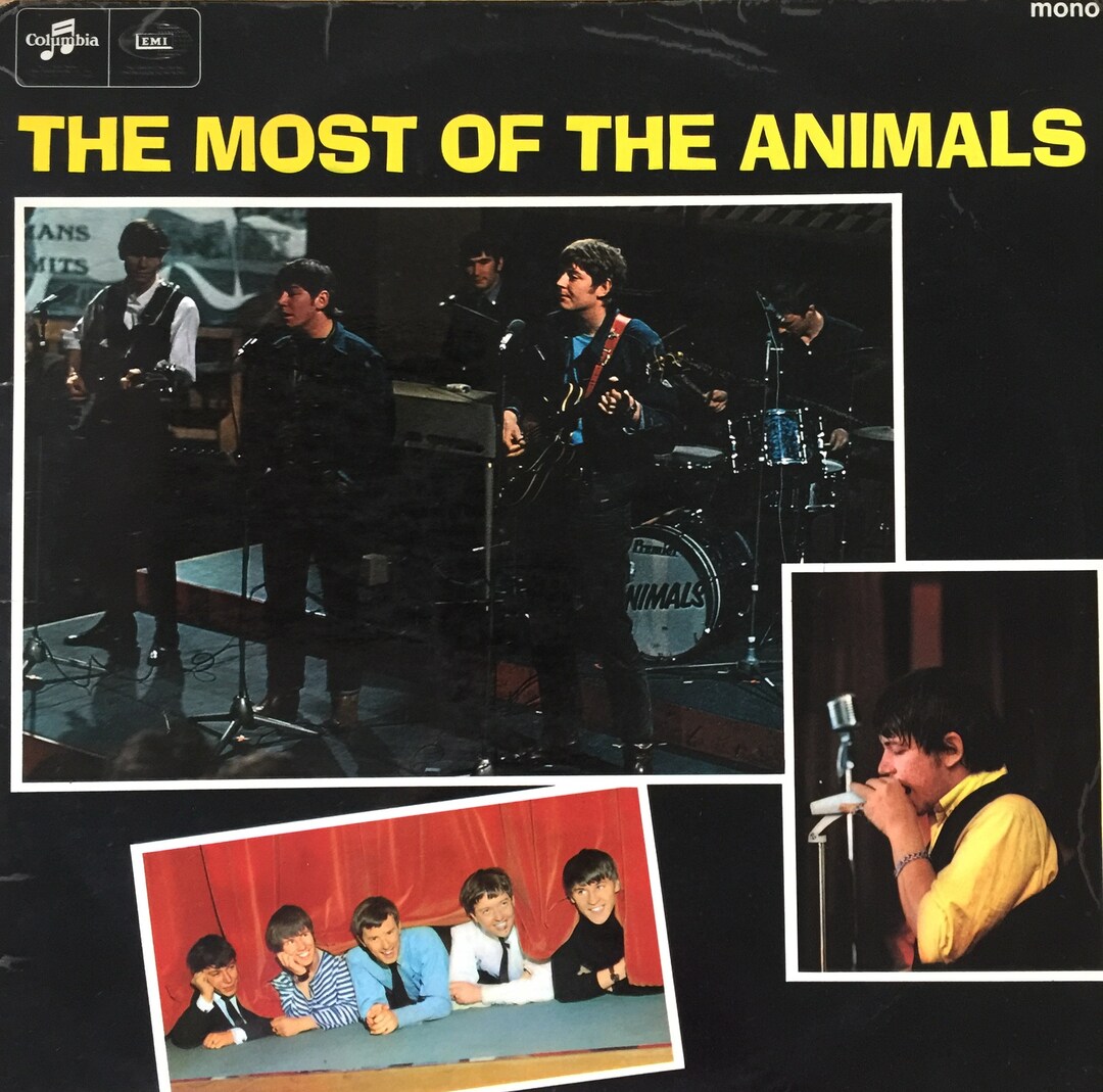 The Animals, the Most of the Animals / Vinyl Etsy
