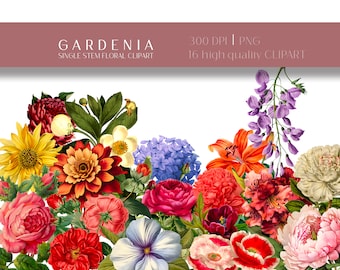 Vintage Floral Clipart Set, Spring Summer Flowers (Digital PNG)